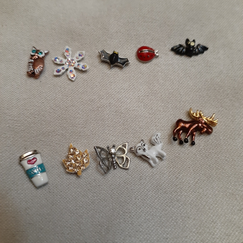 COPY - Lot of charms origami owl